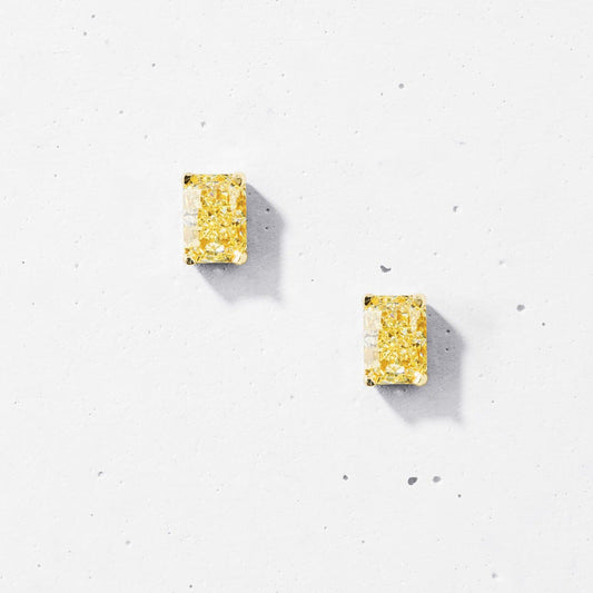 Crushed Ice Rectangular Stud Earrings